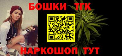 МДПВ Новодвинск