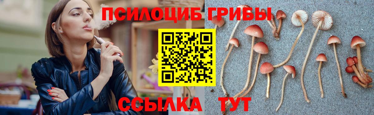 Псилоцибиновые грибы мухоморы Советск